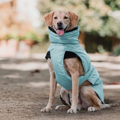 Parka dry & comfy color Menta Talla XS Plus (5-7 kg)