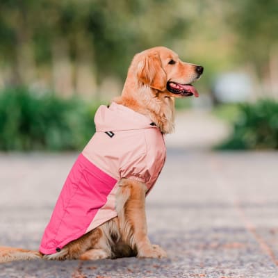 Cortavientos impermeables color Rosado Talla 1 (3-5 Kg)14