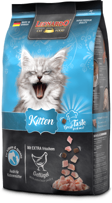 Leonardo Kitten Gato formato 1,8 y 7,5 KG