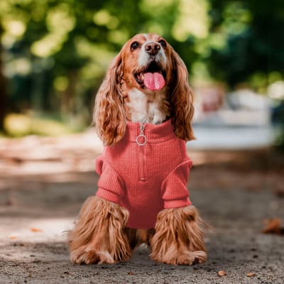 Sweater lanilla color sandía talla 1 (3-5 Kg)