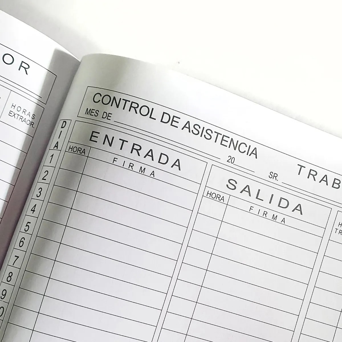Libro de Control de Asistencia de Personal (26 Hojas)7