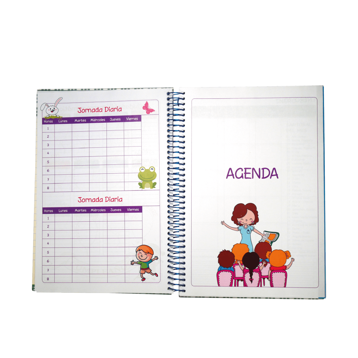 AGENDA EDUCADORA DE PARVULOS BORLANDO 20264