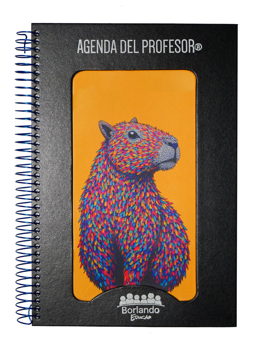 AGENDA DEL PROFESOR BORLANDO 202625