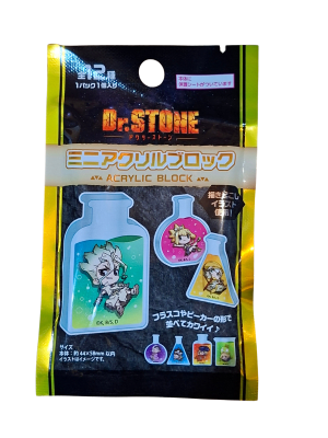 BLOCK ACRILICO GACHA DR.STONE FRIEND