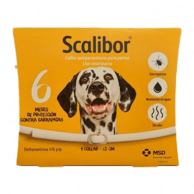 Collar Scalibor Garrapaticida1
