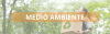 medio ambiente