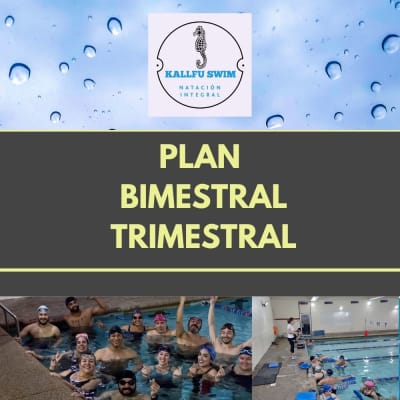Plan Bimestral  & Trimestral1