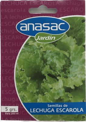 SEM LECHUGA ESCAROLA (5 GR)