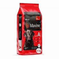MAXINE ADULTO 21KG