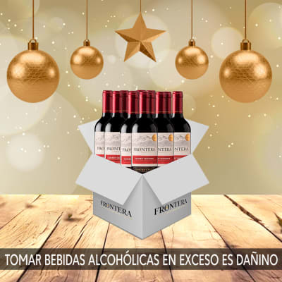 CAJA DE VINO FRONTERA C/SAUVIGNON 750ML