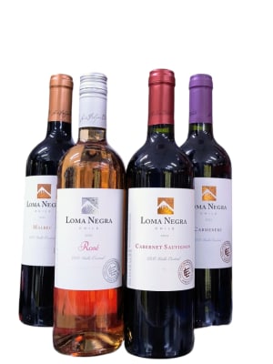 PACK LOMA NEGRA VARIADO 4 UND