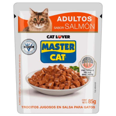 MASTER CAT POUCH SALMON 85 GR