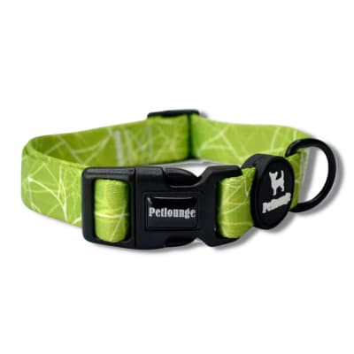 COLLAR CHIC GREEN L/XL - PETLOUNGE1