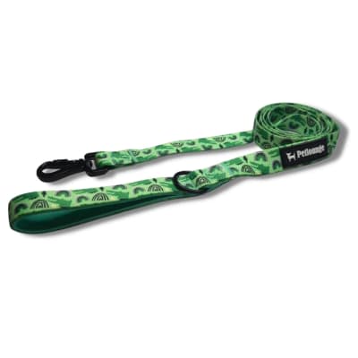 CORREA COCODREAM 1,5 METROS M/L/XL - PETLOUNGE