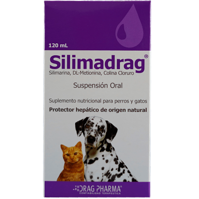 SILIMADRAG JARABE 120 ML