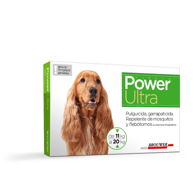 POWER FORTE PIPETA 11-20 KG
