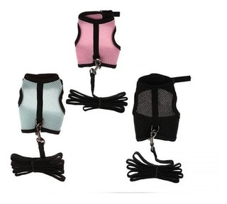 ARNES GATO XL SP001-XL