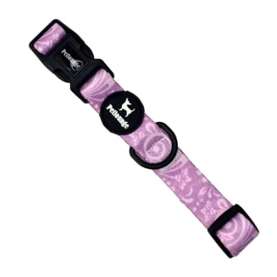 COLLAR CRAZY MALVA M - PETLOUNGE1