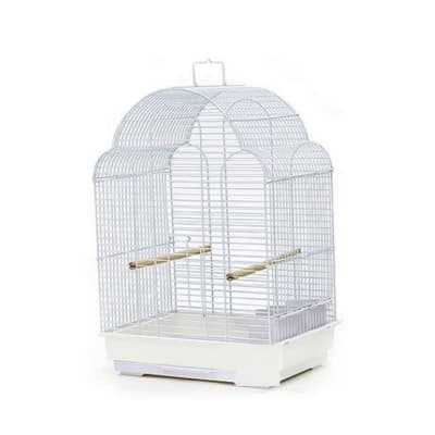 JAULA AVE OVAL GRANDE 700A