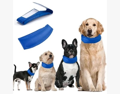 COLLAR REFRESCANTE DOGGY BF-9M1