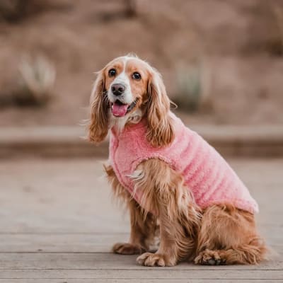 CORDERITO SIN MANGAS ROSADO PETLOUNGE TALLA 31