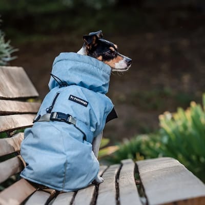 PARKA DRY AND COMFY CELESTE PETLOUNGE XS1