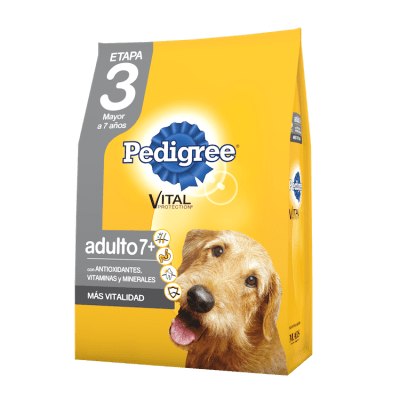 PEDIGREE SENIOR 21 KG1