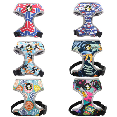 ARNES WONDER ABBA L Q5-A-L