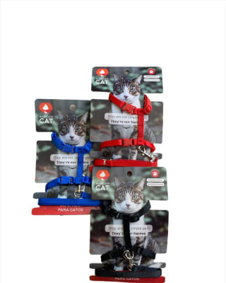 ARNES GATO SIMPLE DN-1231