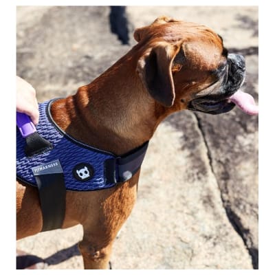 WICKED FLYHARNESS SIZE 51