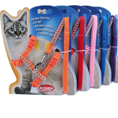 ARNES PARA GATO CON BRILLO 154409