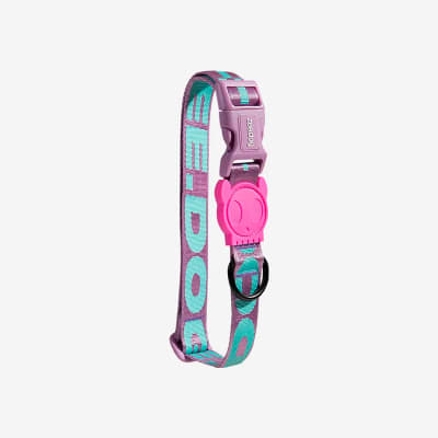 AURA COLLAR MEDIUM ZEE DOG1