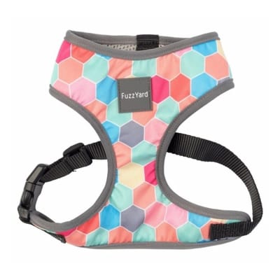 FUZZYARD HARNESS XL THE HIVE FY0218701