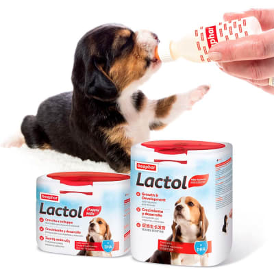 LACTOL LECHE PERRO 500 GR