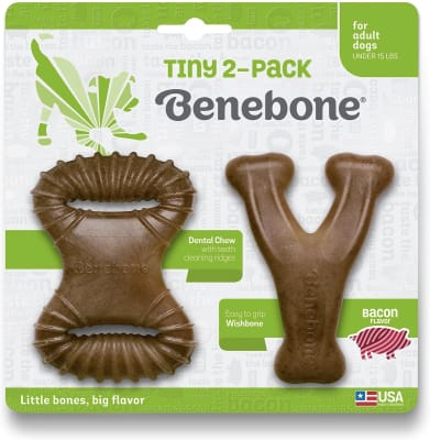BENEBONE TINY 2-PACK BACON