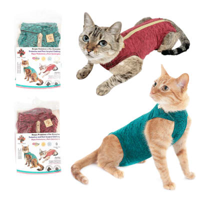 ROPA NPQ-GATO 4R