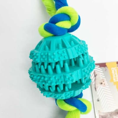 BOLA DENTADA CON CUERDA ER132