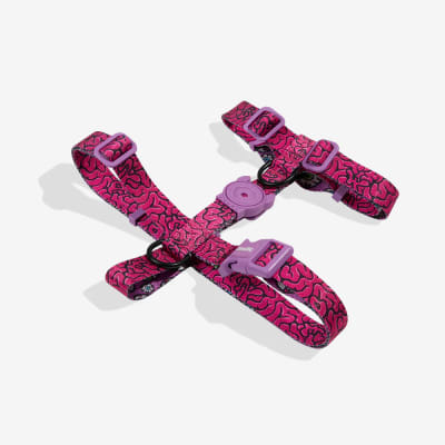 LOZT BRAIN H-HARNESS EXTRA SMALL1
