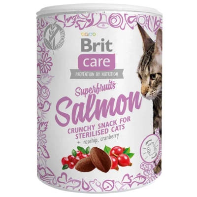 BRIT CARE CAT SNACK SUPERFRUITS SALMON 100 GR