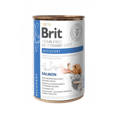 LATA BRIT VET DIET PERRO Y GATO RECOVERY 400 GR1