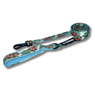 CORREA PETLOUNGE BLUE PARROTS XS/S