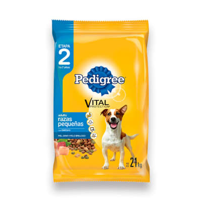 PEDIGREE ADULTO RZ. PEQ. 21 KG