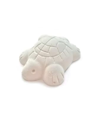 CALCIO TORTUGA - GALL