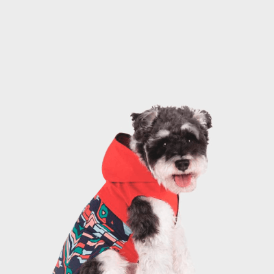 PARKA RAIN COAT ROJO 2XL B118062-2XLR1