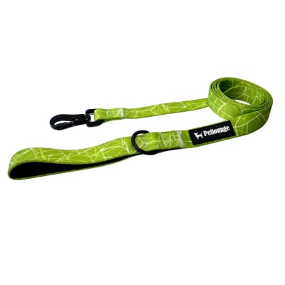 CORREA CHIC GREEN XS/S - PETLOUNGE
