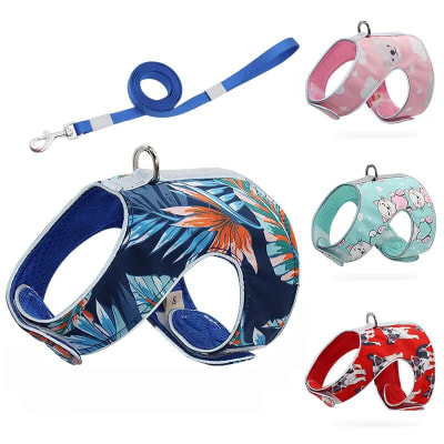 ARNES GATO DISEÑO L FB857-L1