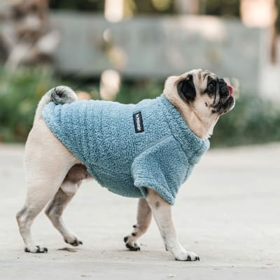 CORDERITO CUELLO ALTO CELESTE TALLA 11