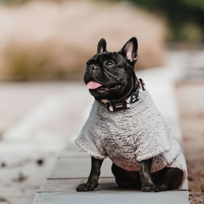 CORDERITO CUELLO ALTO GRIS TALLA 1