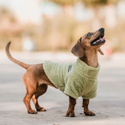 CORDERITO CUELLO ALTO VERDE TALLA 2