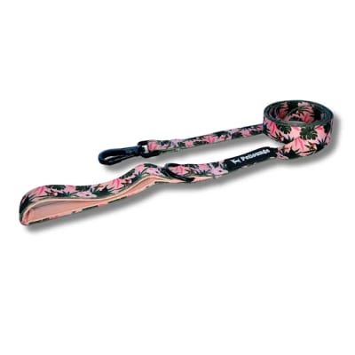 CORREA PETLOUNGE TOUCANS XS/S